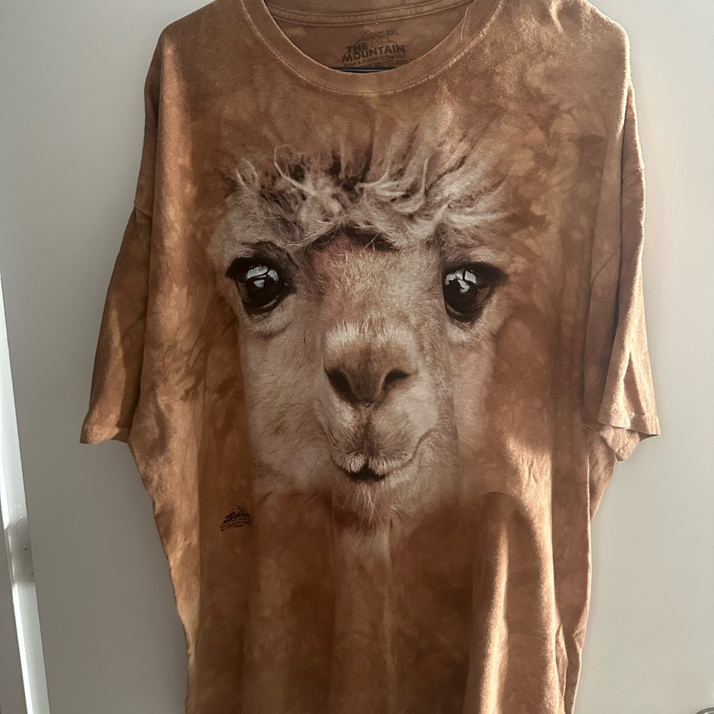 The Mountain Earthy Brown T-Shirt